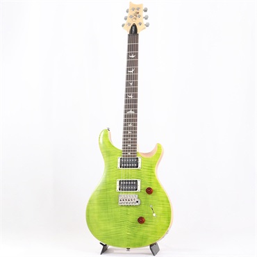 P.R.S. SE Custom 24 (Eriza Verde) [日本限定カラーモデル] 画像1