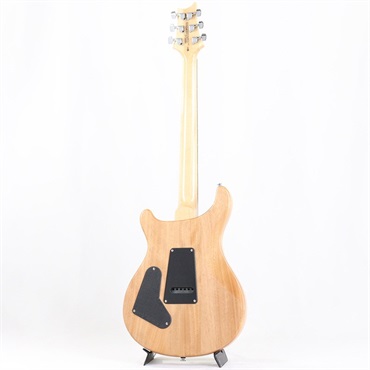 P.R.S. SE Custom 24 (Eriza Verde) [日本限定カラーモデル] 画像2