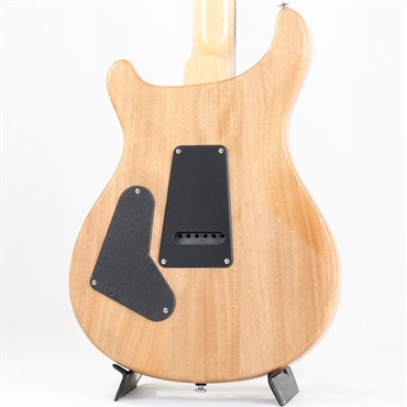 P.R.S. SE Custom 24 (Eriza Verde) [日本限定カラーモデル] 画像3