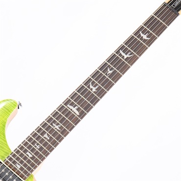 P.R.S. SE Custom 24 (Eriza Verde) [日本限定カラーモデル] 画像5