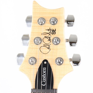 P.R.S. SE Custom 24 (Eriza Verde) [日本限定カラーモデル] 画像7