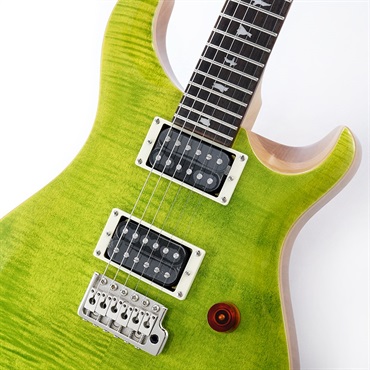 P.R.S. SE Custom 24 (Eriza Verde) [日本限定カラーモデル] 画像3