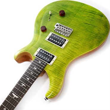 P.R.S. SE Custom 24 (Eriza Verde) [日本限定カラーモデル] 画像5