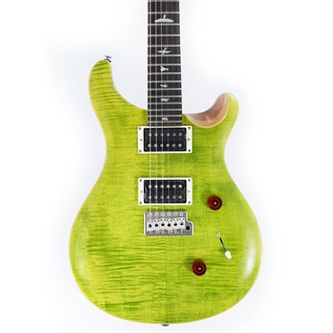 P.R.S. SE Custom 24 (Eriza Verde) [日本限定カラーモデル] 画像9