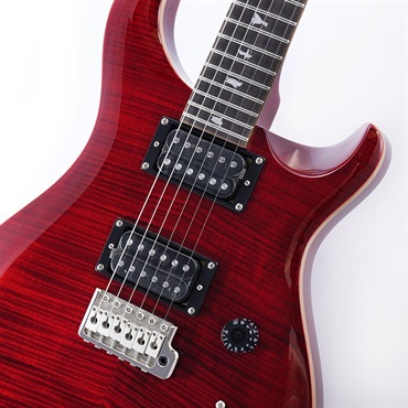 P.R.S. SE Custom 24 (Ruby) [日本限定カラーモデル] 画像3