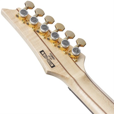 Ibanez PGM50-BK [Paul Gilbert Signature Model] 【特価】 画像5