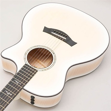 TAYLOR 【数量限定】50th Anniversary 614ce LTD [50周年記念モデル] テイラー 画像4