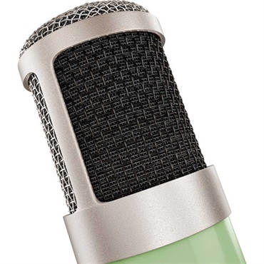 Universal Audio UA Bock 251(ELAM 251スタイル・真空管コンデンサーマイク)(国内正規品)(ユニバーサルオーディオ) 画像3