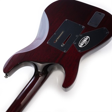SCHECTER C-1 FR Hellraiser [AD-C-1-FR-HR] (BCH) 画像6