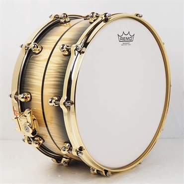 Pearl Masterworks Snare Drum 14×7 - Natural to Black Burst over White Sycamore w/Ebony Inlay/Gold Parts [MWAC1470S-G] 画像3