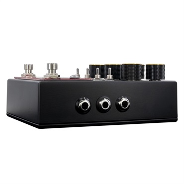 WALRUS AUDIO MERAKI Stereo Analog Dual Delay WAL-MERAKI（ウォルラスオーディオ）ディレイ 画像2