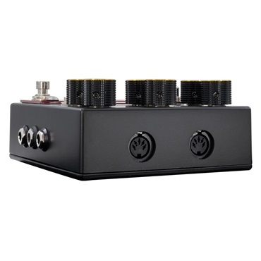 WALRUS AUDIO MERAKI Stereo Analog Dual Delay WAL-MERAKI（ウォルラスオーディオ）ディレイ 画像4