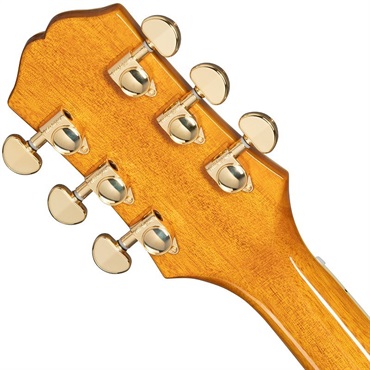 Epiphone Sheraton (Natural)[特価] 画像5