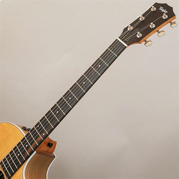 TAYLOR 214ce Walnut テイラー 画像8
