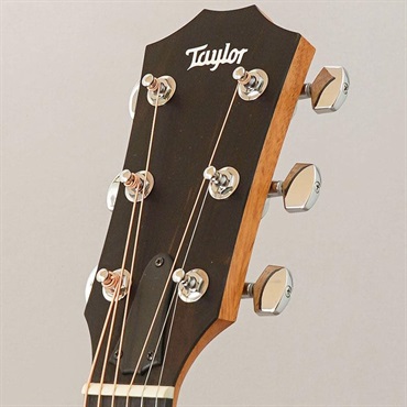 TAYLOR 214ce Walnut テイラー 画像10