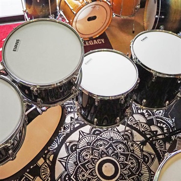 Ludwig Classic Maple 6pc Set -Sable Classic Coat- [Ludwig Roadshow Carter McLean Drum Clinic使用品/22BD・10TT・12TT・13TT・14FT・16FT] 画像9