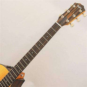 TAYLOR 212ce Plus テイラー 画像8