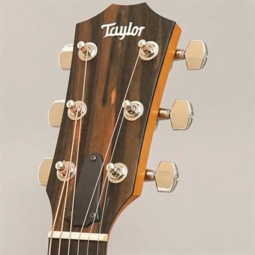 TAYLOR 212ce Plus テイラー 画像10