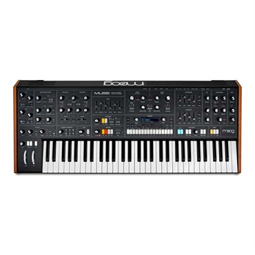moog Muse (ミューズ)8ボイス・アナログ・バイティンバー・ポリフォニック・シンセサイザー (モーグ) (アナログシンセサイザー) 画像3