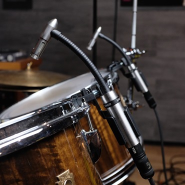 EARTHWORKS DM20 Gen2 (アースワークス)(ドラムマイク・コンデンサーマイク)(第二世代) 画像5