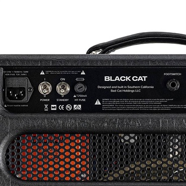 Bad Cat BLACK CAT 1x12 Combo（バッドキャット）【お取り寄せ商品】 画像5