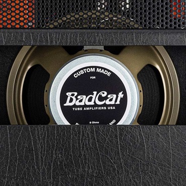 Bad Cat BLACK CAT 1x12 Combo（バッドキャット）【お取り寄せ商品】 画像7
