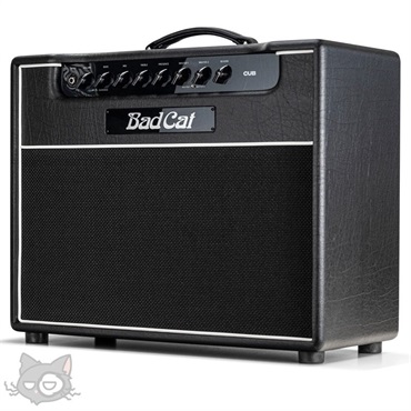 Bad Cat CUB 1x12 Combo（バッドキャット） 画像2