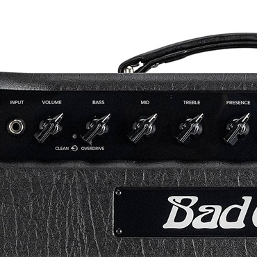 Bad Cat CUB 1x12 Combo（バッドキャット） 画像3