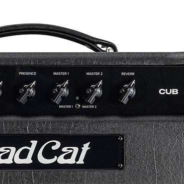 Bad Cat CUB 1x12 Combo（バッドキャット） 画像4