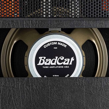 Bad Cat CUB 1x12 Combo（バッドキャット） 画像7