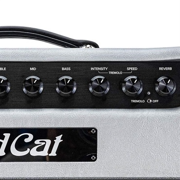 Bad Cat JET BLACK BAD CAT 25TH ANNIVERSARY LIMITED EDITION 1x12 Combo（バッドキャット)【お取り寄せ商品】 画像4