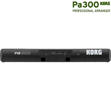 KORG 【夏先取り大特価セール】Pa300 PROFESSIONAL ARRANGER (アレンジャーキーボード) Pa-300 画像3