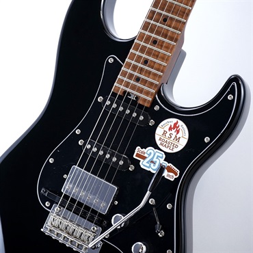 Bacchus BSH-STD-GK BLK GM-800&VG-800対応機！ 画像3
