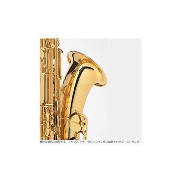 Selmer Paris 【旧定価品！】【中村誠一氏選定品】テナーサックス　セルマー AXOS（アクソス） 【調整&セットアップ後出荷】【5年間キーバランス調整無料】 画像6