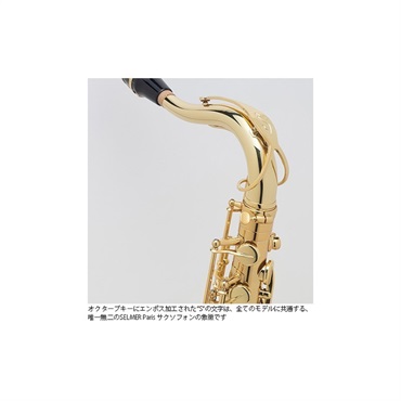 Selmer Paris 【旧定価品！】【中村誠一氏選定品】テナーサックス　セルマー AXOS（アクソス） 【調整&セットアップ後出荷】【5年間キーバランス調整無料】 画像7
