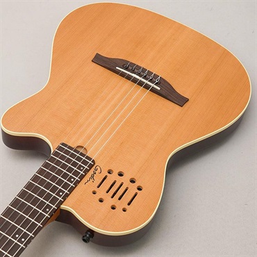 Godin Multiac Nylon Encore Natural SG 画像4