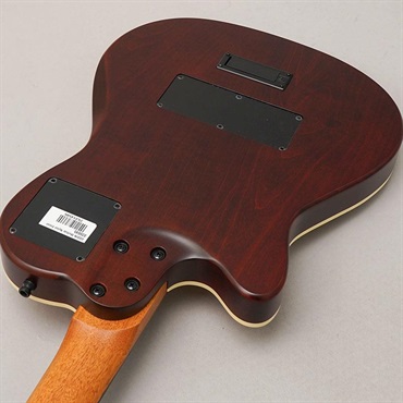 Godin Multiac Nylon Encore Natural SG 画像5