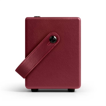 Positive Grid 【夏先取り大特価セール】Spark MINI Vai（ポジティブ ポジティヴ グリッド） 画像3