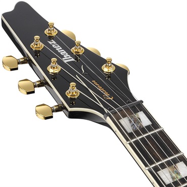 Ibanez FRM350-BK (Black) [Paul Gilbert Model / SPOT MODEL] 画像4