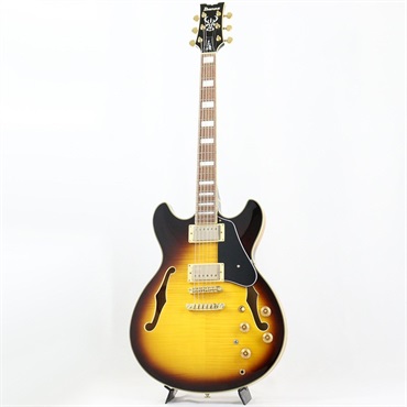 Ibanez JSM10EM-TTB (Two-tone Burst) [John Scofield Model / SPOT MODEL] 画像1