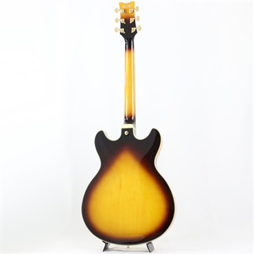 Ibanez JSM10EM-TTB (Two-tone Burst) [John Scofield Model / SPOT MODEL] 画像2