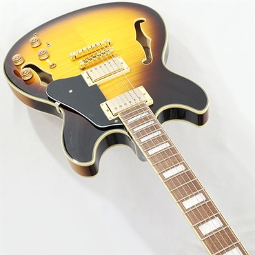 Ibanez JSM10EM-TTB (Two-tone Burst) [John Scofield Model / SPOT MODEL] 画像4