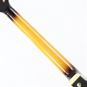 Ibanez JSM10EM-TTB (Two-tone Burst) [John Scofield Model / SPOT MODEL] 画像6