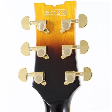 Ibanez JSM10EM-TTB (Two-tone Burst) [John Scofield Model / SPOT MODEL] 画像8