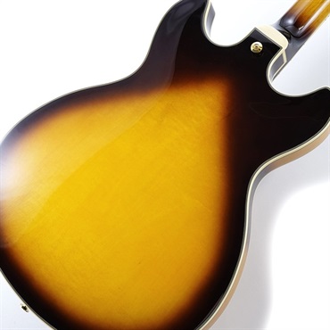Ibanez JSM10EM-TTB (Two-tone Burst) [John Scofield Model] [SPOT MODEL] 画像7