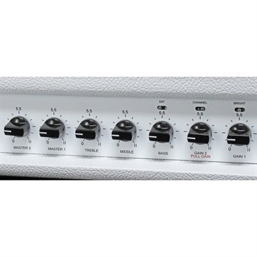 FRIEDMAN 【夏のボーナスセール】【WEB限定在庫処分セール】 JEL-20 HEAD [White Tolex]（フリードマン） 画像2