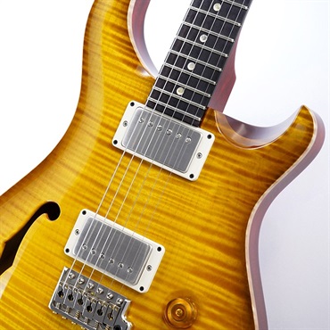 P.R.S. DGT Semi-Hollow Limited Edition (McCarty Sunburst) SN.0390963 2024年生産品 画像3