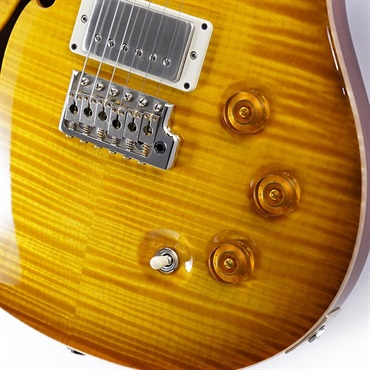 P.R.S. DGT Semi-Hollow Limited Edition (McCarty Sunburst) SN.0390963 2024年生産品 画像4