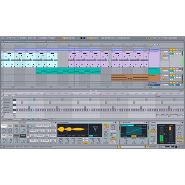 ableton Move 【スタンドアロンポータブルガジェット】(エイブルトン) 画像5