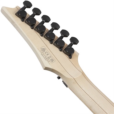 Ibanez Genesis Collection RG550-BK (Black) [SPOT MODEL] 画像5